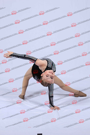 DSDIMG_1347