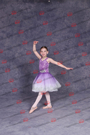 LDWIMG_0231