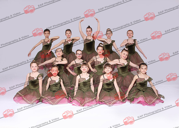 DWK EAP 22