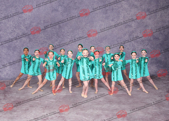 FCD EAP 33