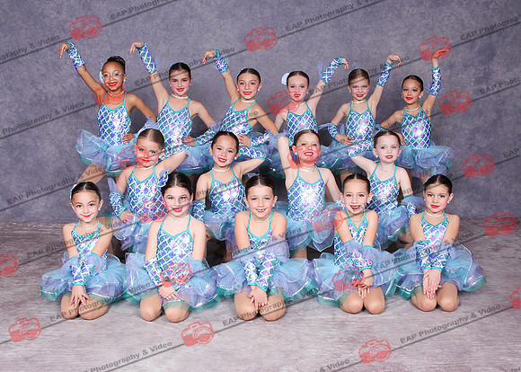 FCD EAP 17