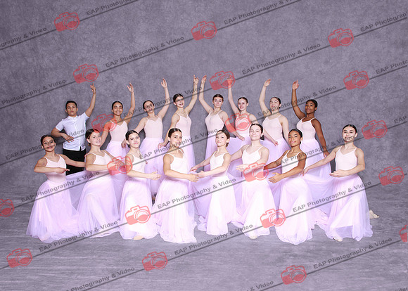 DSD EAP 31
