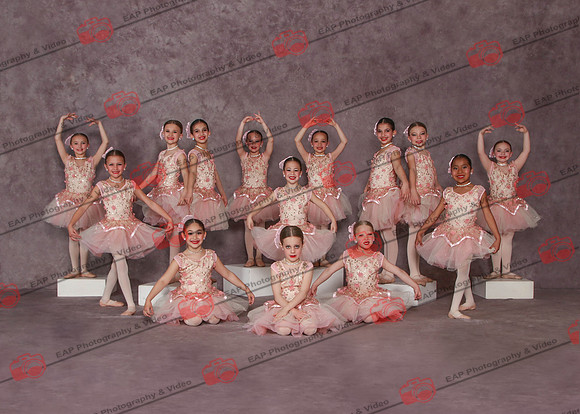 FCD EAP 20