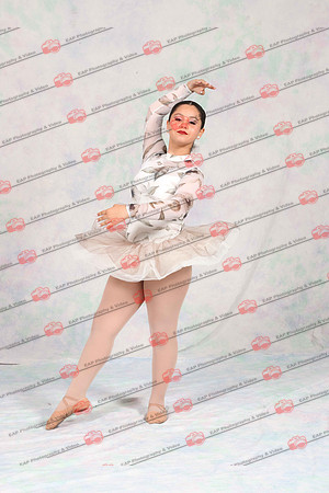 PFDIMG_0887