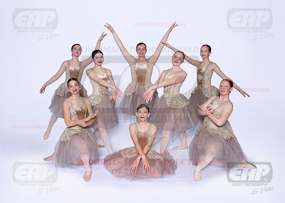 SED EAP 24
