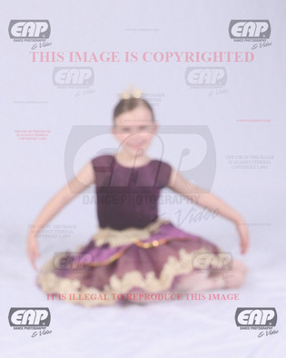 SEDIMG_1119