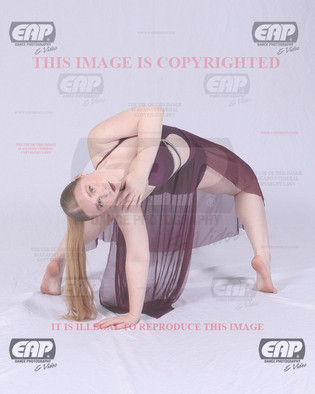SEDIMG_1166