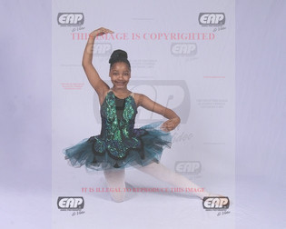 NPAIMG_0899