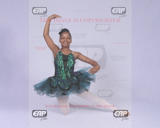 NPAIMG_0898