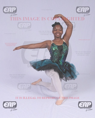 NPAIMG_0892