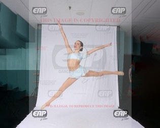 NPAIMG_8833