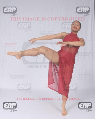 NPAIMG_7743