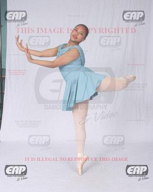 NPAIMG_8331