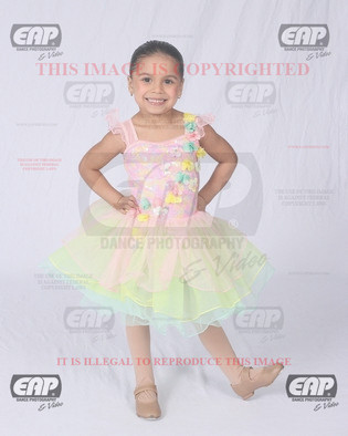 NPAIMG_5858