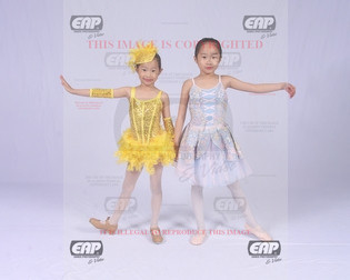 NPAIMG_0918