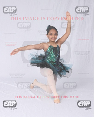 NPAIMG_6099