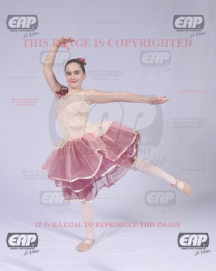 NPAIMG_0773
