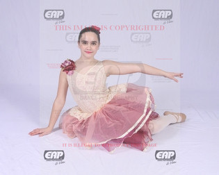 NPAIMG_0775