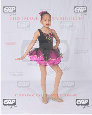 NPAIMG_6264