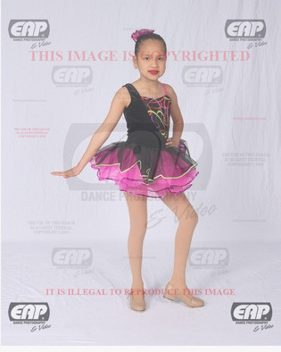 NPAIMG_6265