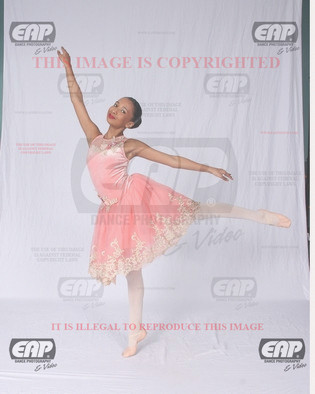 NPAIMG_6520