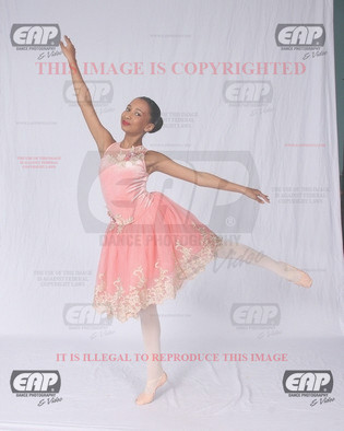 NPAIMG_6521