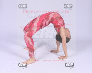 NPAIMG_0761