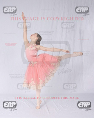 NPAIMG_6411