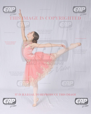 NPAIMG_6412