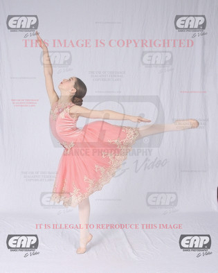 NPAIMG_6413
