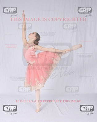 NPAIMG_6414