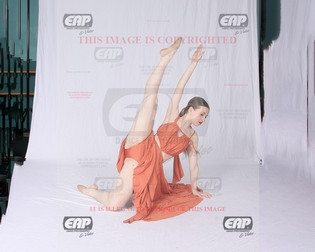NPAIMG_8696