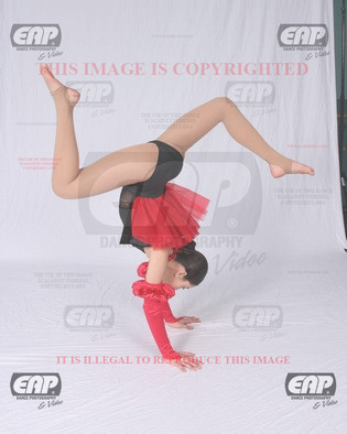 NPAIMG_7404