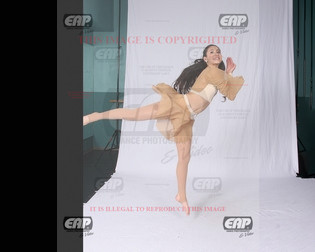 NPAIMG_8852