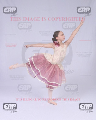NPAIMG_0778