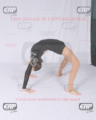 NPAIMG_6323