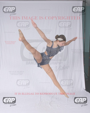 NPAIMG_6931