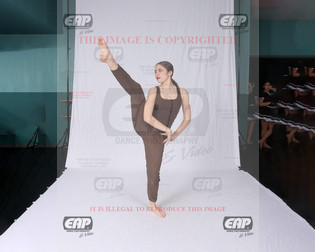 NPAIMG_8444