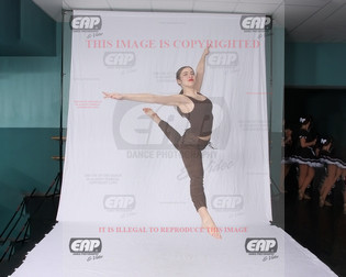 NPAIMG_8446