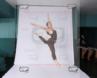 NPAIMG_8447
