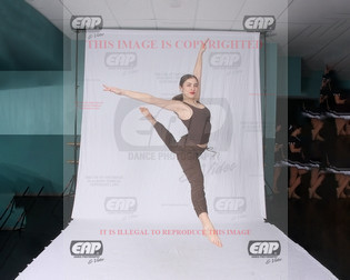 NPAIMG_8448
