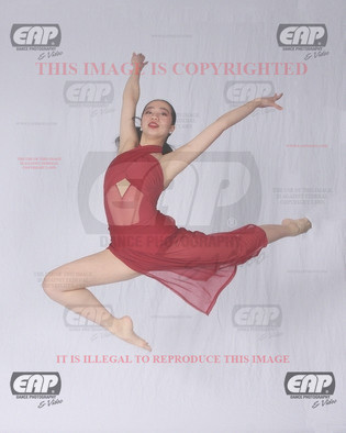 NPAIMG_7692