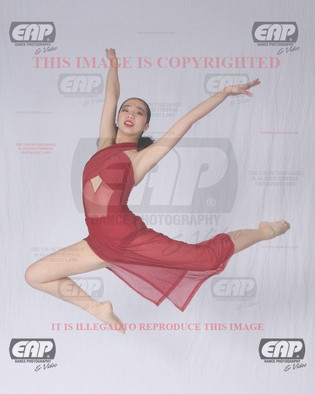 NPAIMG_7693