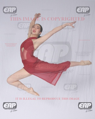 NPAIMG_7694
