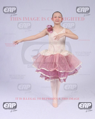 NPAIMG_0785