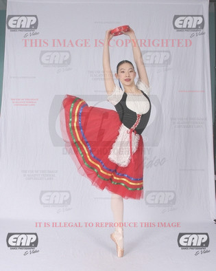 NPAIMG_7617