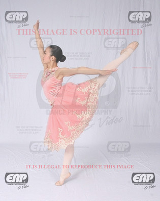 NPAIMG_6396