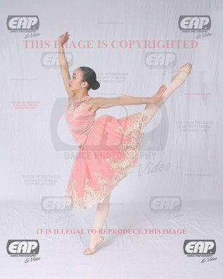 NPAIMG_6397