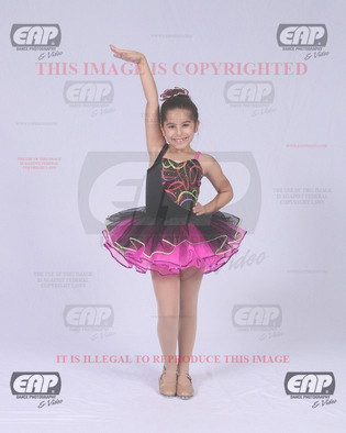 NPAIMG_0951