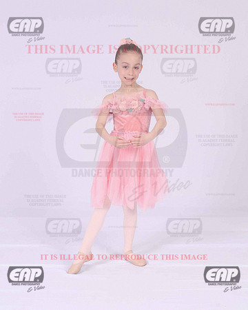 TPSIMG_2449